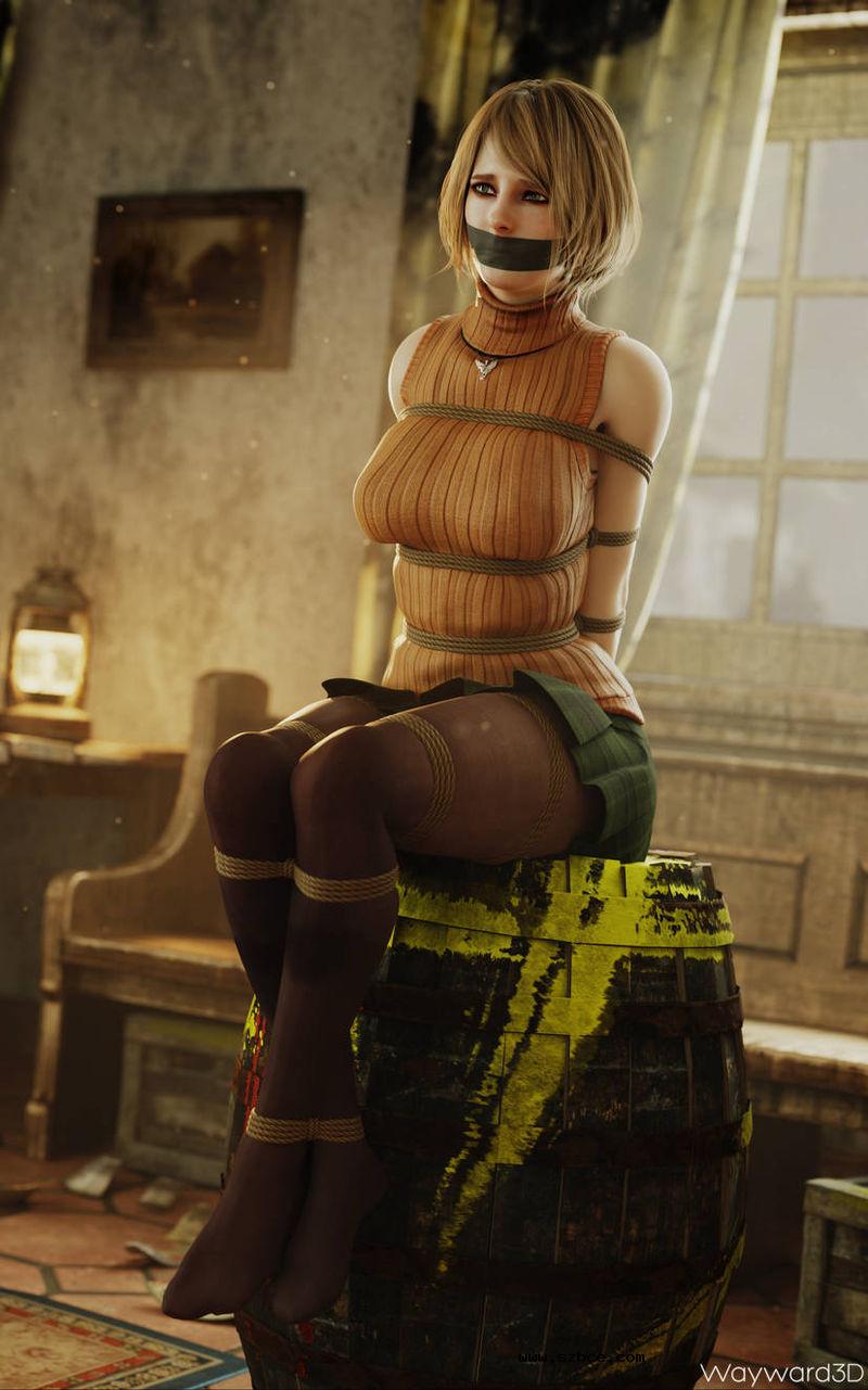 【3D】生化危机束缚版